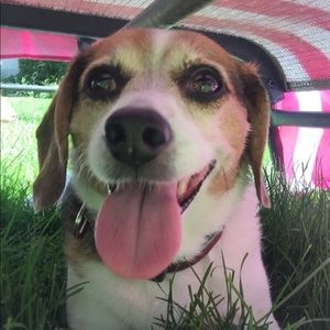 Meet your Posher, Mindy